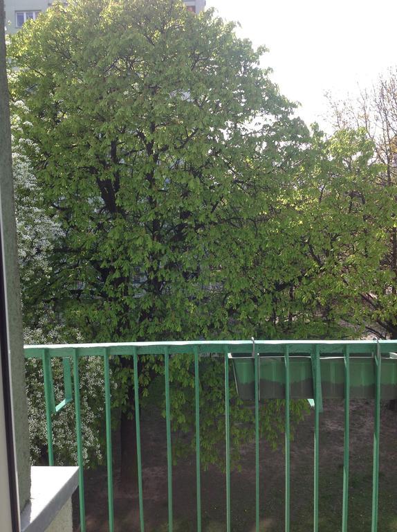 Kazimir Apartament Lodz Dış mekan fotoğraf
